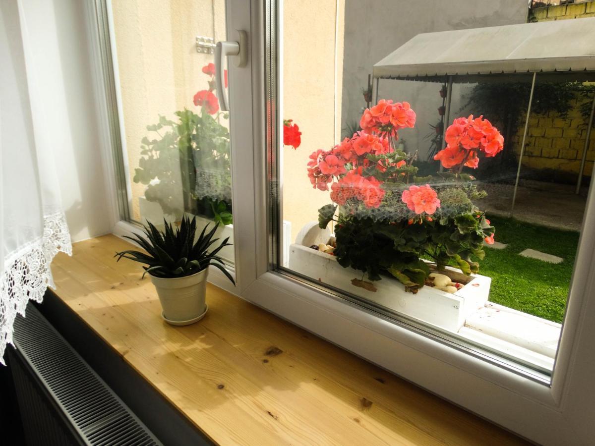 Vila Casa Joy Rîşnov Exteriér fotografie
