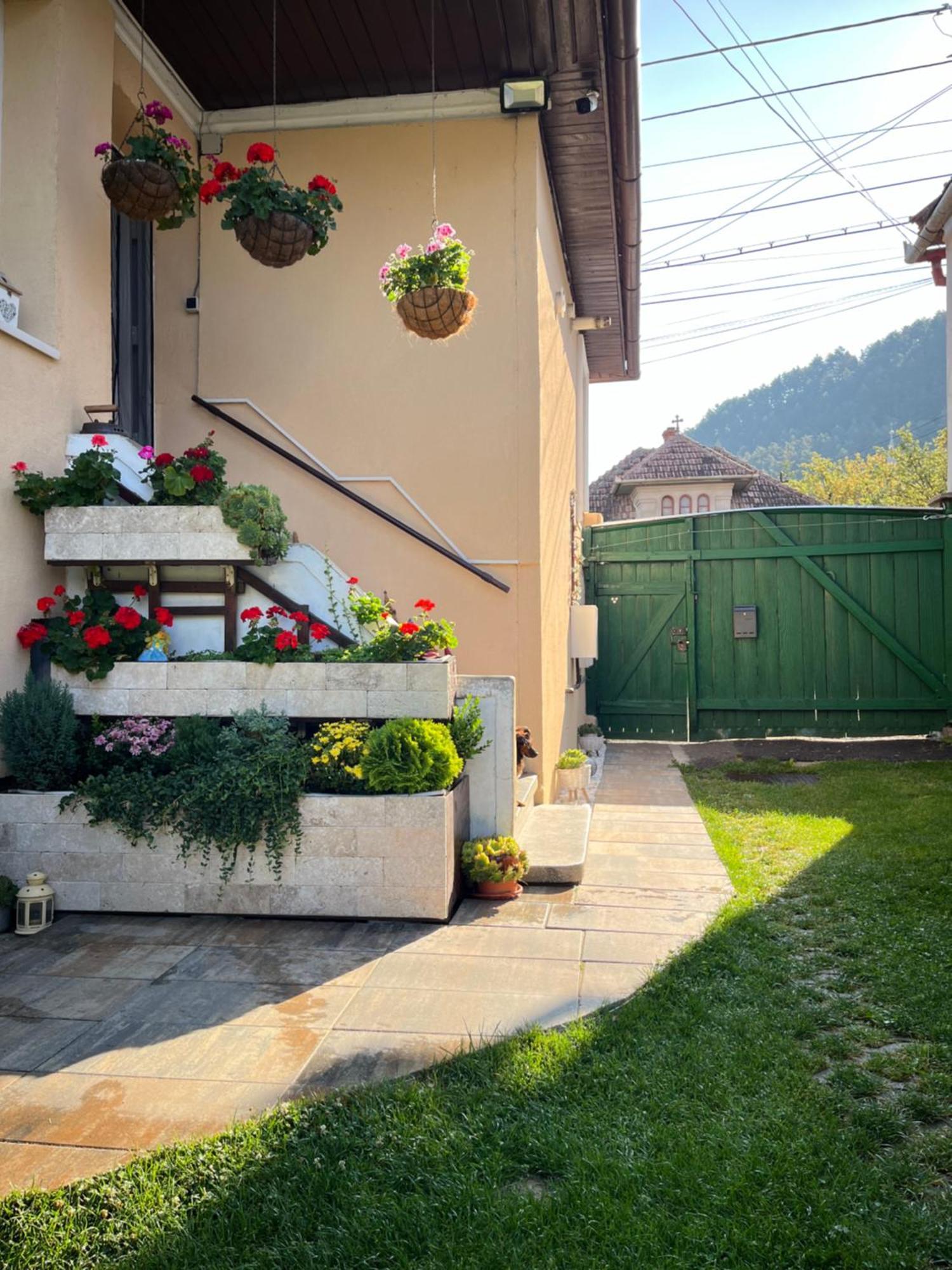 Vila Casa Joy Rîşnov Exteriér fotografie