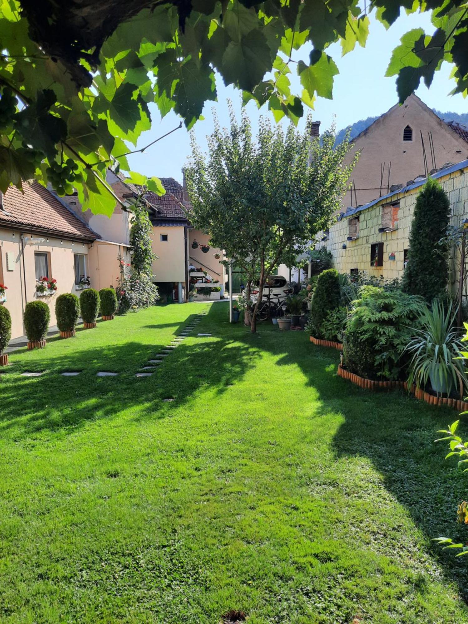 Vila Casa Joy Rîşnov Exteriér fotografie